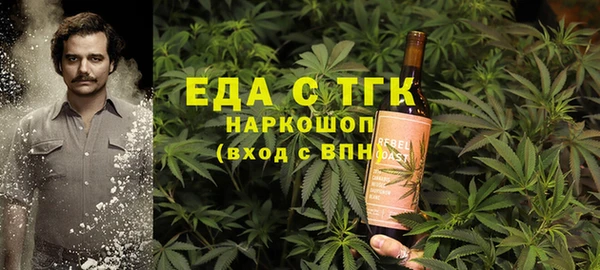 стаф Алзамай