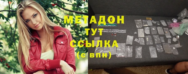 гашик Алексин