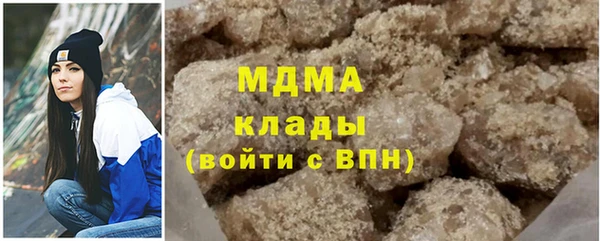гашик Алексин