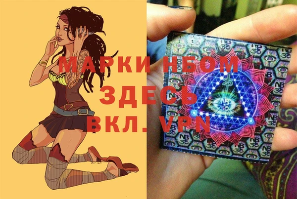 гашик Алексин