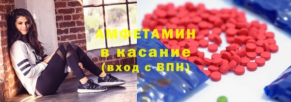 гашик Алексин