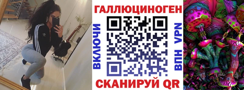 Галлюциногенные грибы Psilocybine cubensis Калтан